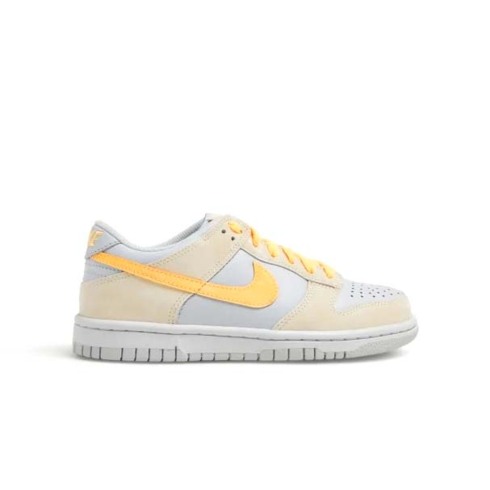 Кроссовки женские Nike Dunk Low FB9109-100